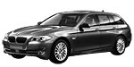 BMW F11 P250B Fault Code